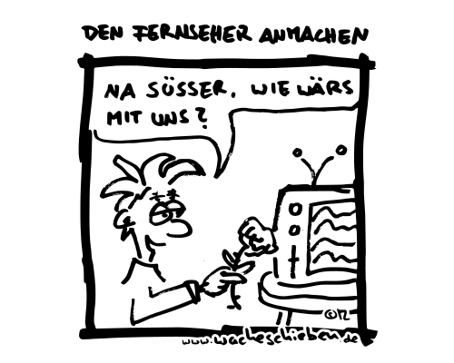 den Fernseher anmachen