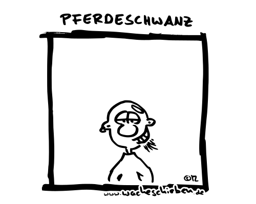 Pferdeschwanz