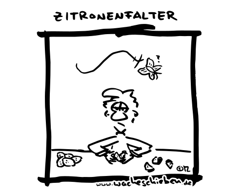 Zitronenfalter