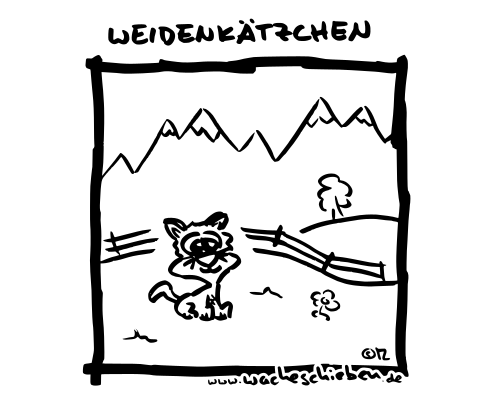 Weidenkätzchen