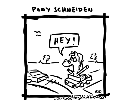 Pony schneiden