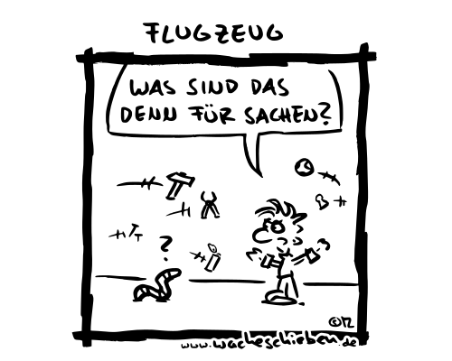 Flugzeug
