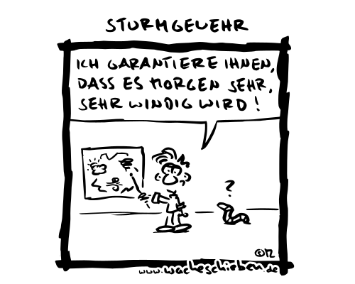 Sturmgewehr