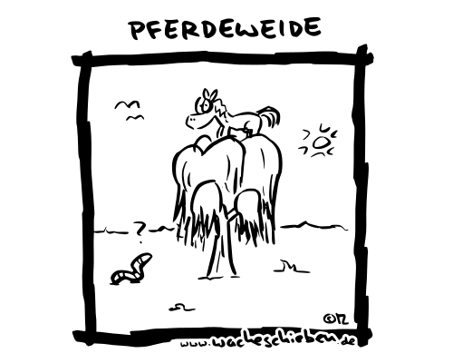 Pferdeweide
