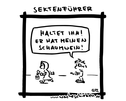 Sektenführer