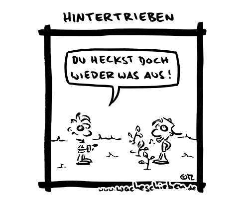 hintertrieben
